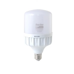 Bóng đèn LED Bulb trụ 30W DC (Model: TR100N1/30W.DC)