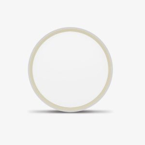 Đèn Led Ốp trần đổi màu (Model: LN28 DM 400/40W)