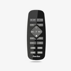 Bảng điều khiển cảnh (Model: RD-SC.M4)