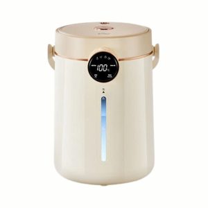 Bình thuỷ điện 3L Bear EWB-5H30C60